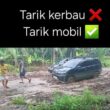 Jalan Rusak Lagi, Nitizen: Hanya di Tanjab Timur Olahraga Tarik Tambang Manusia vs Mobil